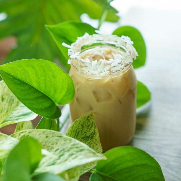 The ULTIMATE GUIDE to 10+ coffee shops in Columbia, SC by locals When In Columbia