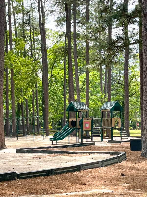 Playground equipment and swings at Heathwood Park