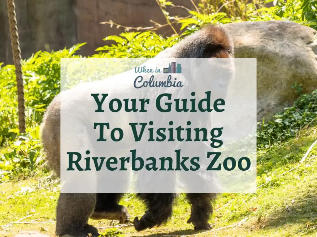 Gorilla with text "Your guide to visiting Riverbanks Zoo"