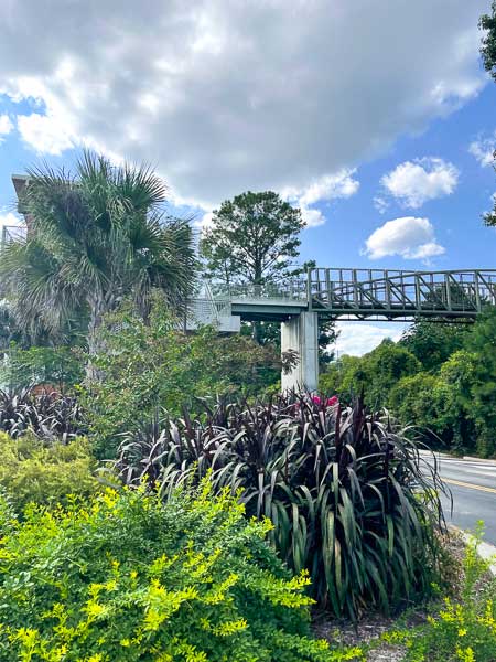 Bridge to additional parking at Riverbanks Zoo in Columbia, SC