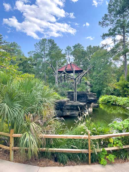 Siamang exhibit at Riverbanks Zoo in Columbia, SC